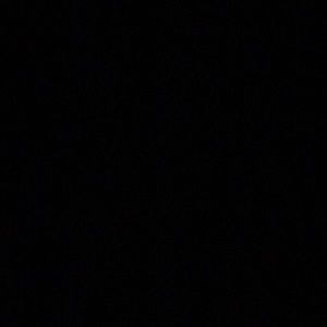 Meet your Posher, Karigin